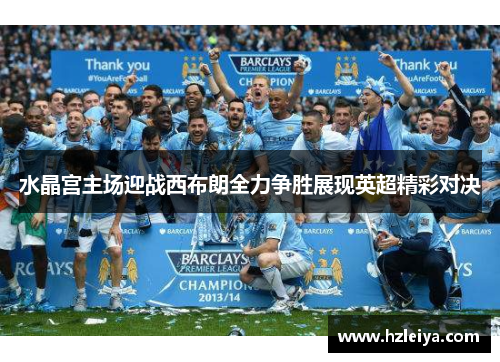 水晶宫主场迎战西布朗全力争胜展现英超精彩对决